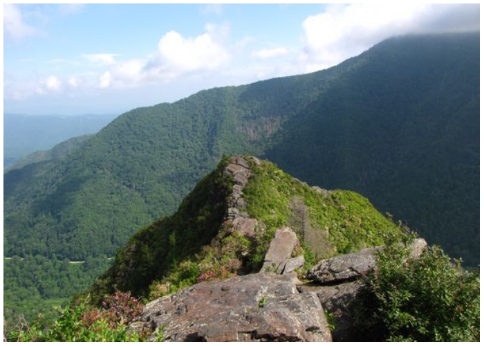 Missing Boy Found in Unbelievable Conditions in The Great Smoky ...