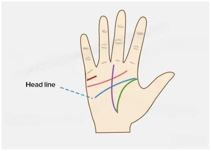 15 Easy Tips and Tricks to Read Your Palm Lines Fast - worldtravelling
