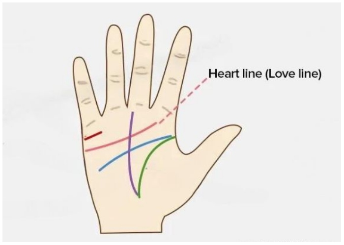 Line Heart Line 15 Easy Tips and Tricks to Read Your Palm Lines Fast - worldtravelling